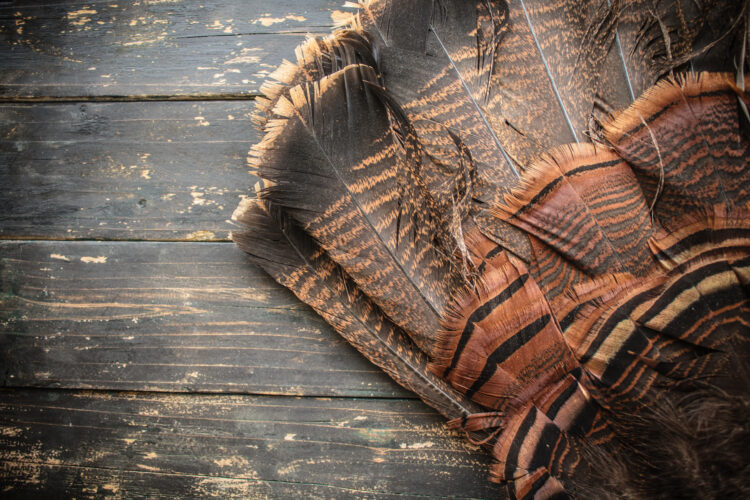 How to Make a Small Kite with Turkey Feathers